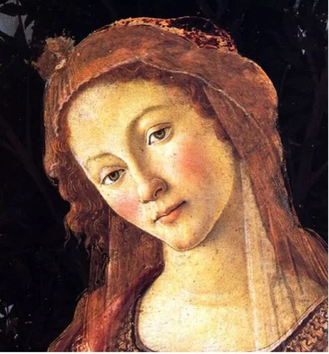 Figura 3. Sandro Botticelli, Primavera, particolare del volto di Venere, Galleria degli Uffizi, Firenze