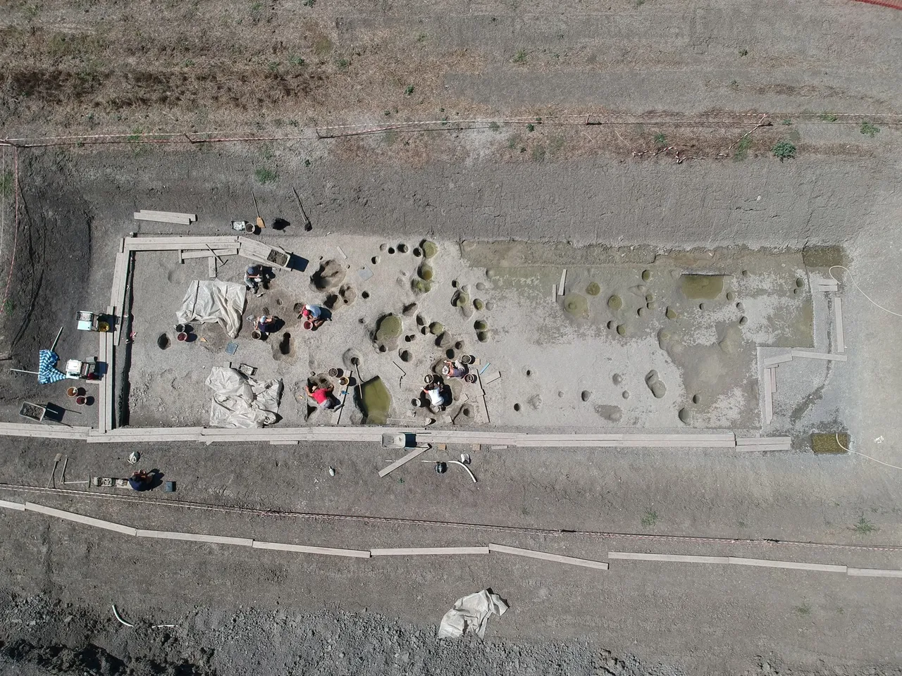 Foto aerea dell’area di scavo della stagione 2020, che evidenzia la presenza di strutture idrauliche