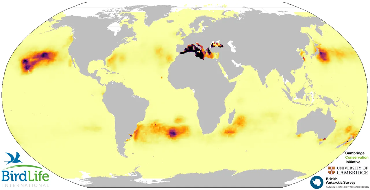 Mappa del rischio di esposizione alla plastica per i procellariformi, a colori più scuri corrisponde un rischio più elevato