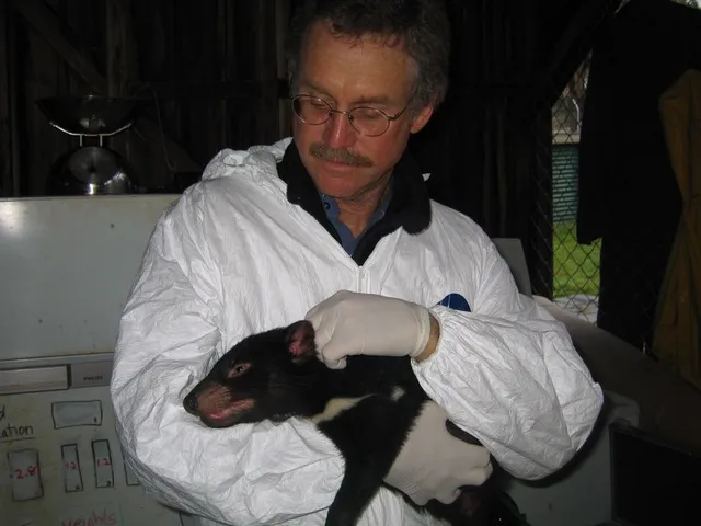 David Quammen con un diavolo della Tasmania, ritratto durante una indagine sui tumori