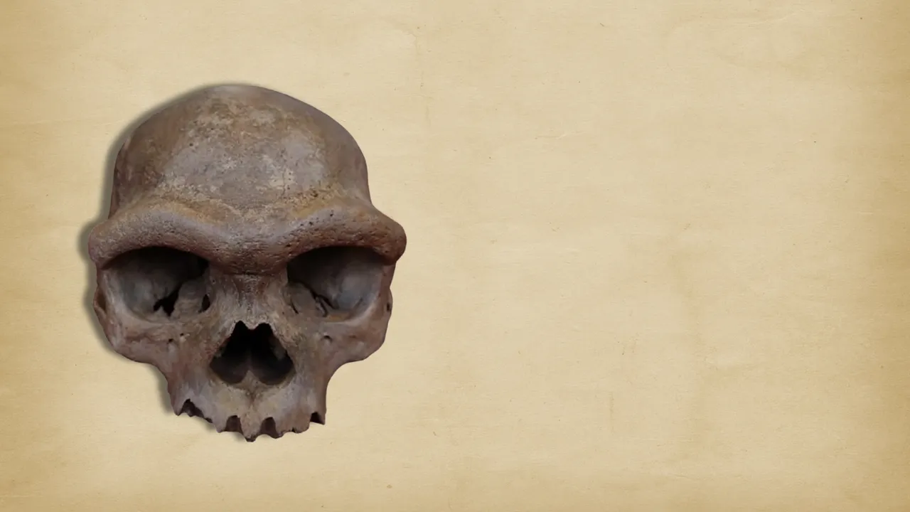 il cranio di denisova analizzato