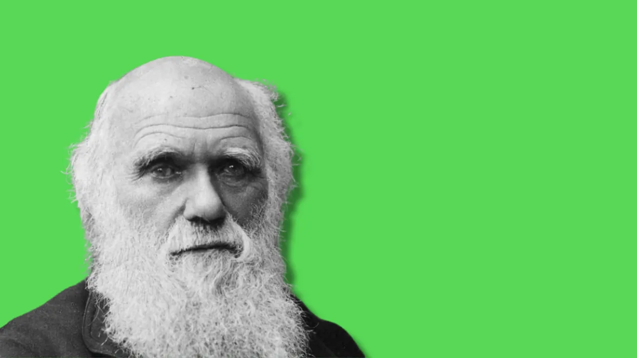 Darwin da anziano su sfondo uniforme