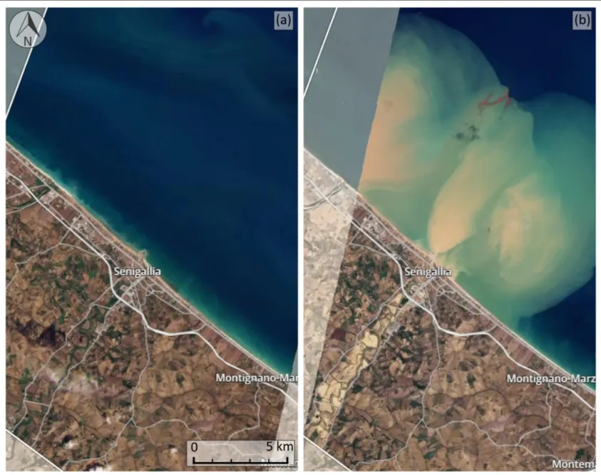sedimenti