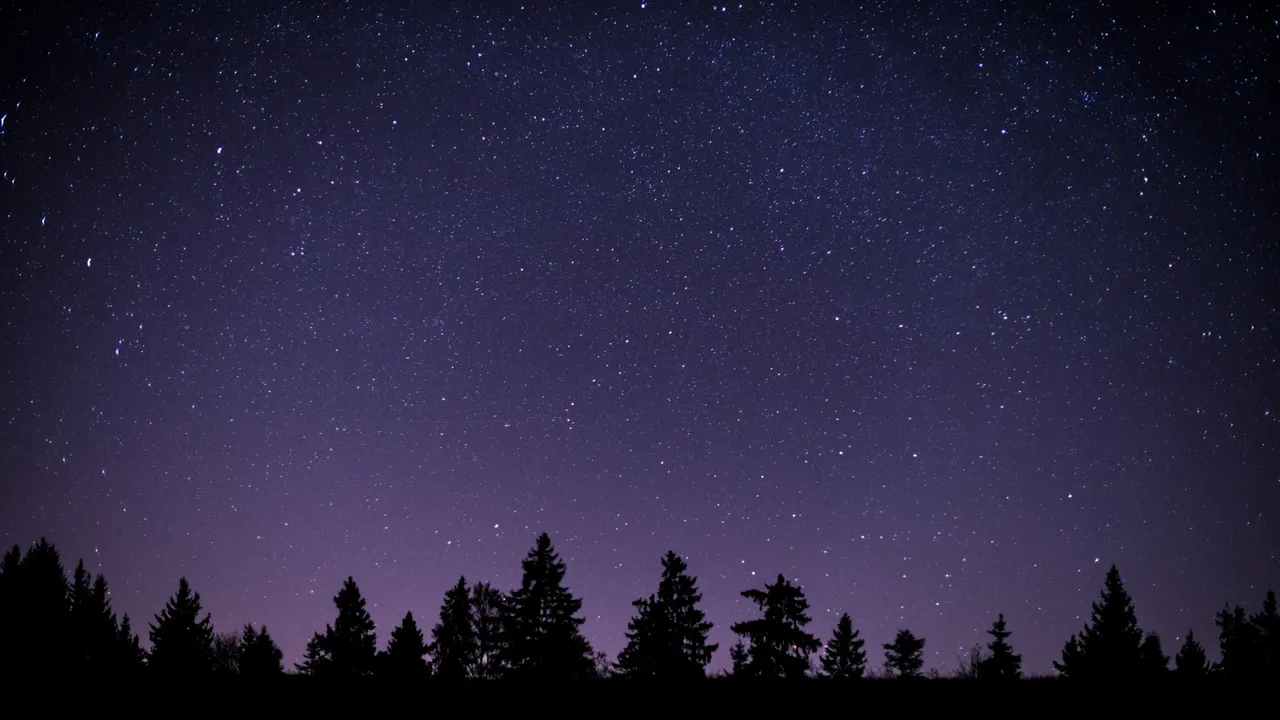 un cielo stellato con profilo di alberi