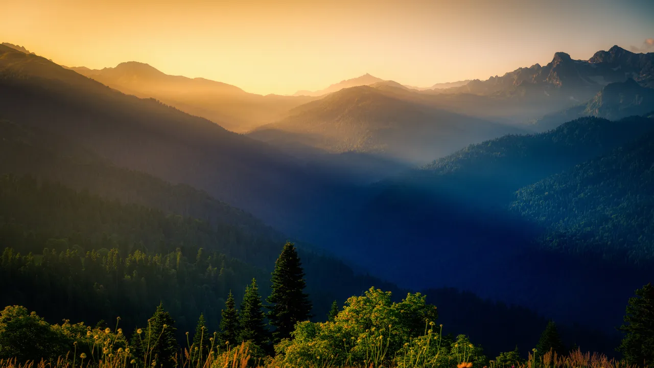 montagne con bosco al tramonto
