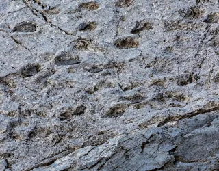 orme di dinosauro nella roccia