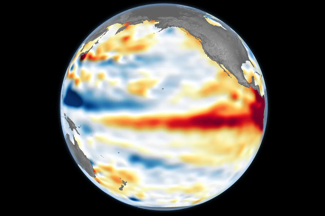 Anomalie delle temperature del Pacifico nella zona equatoriale collegate al fenomeno El Niño, l'8 giugno 2026