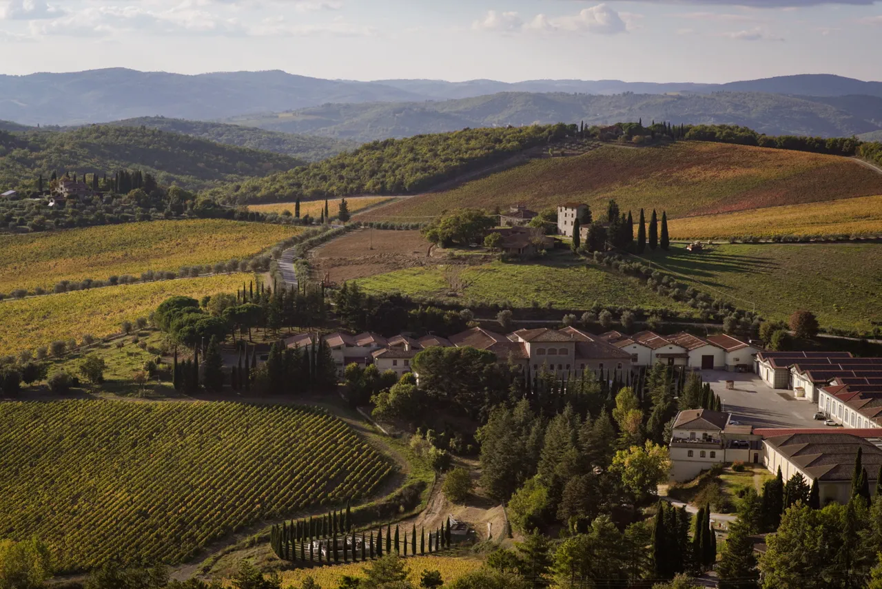 campagna con foresta retrostante