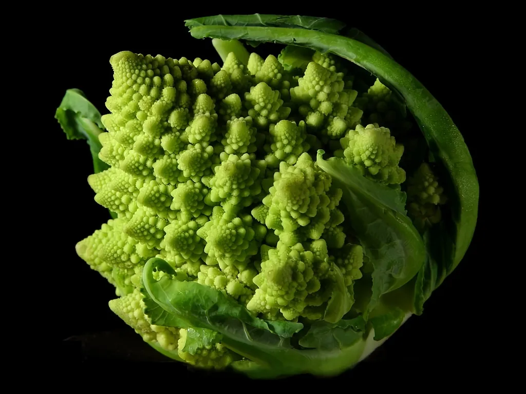 Un cavolo romanesco: le sue spirali ripetono la stessa forma a ogni scala