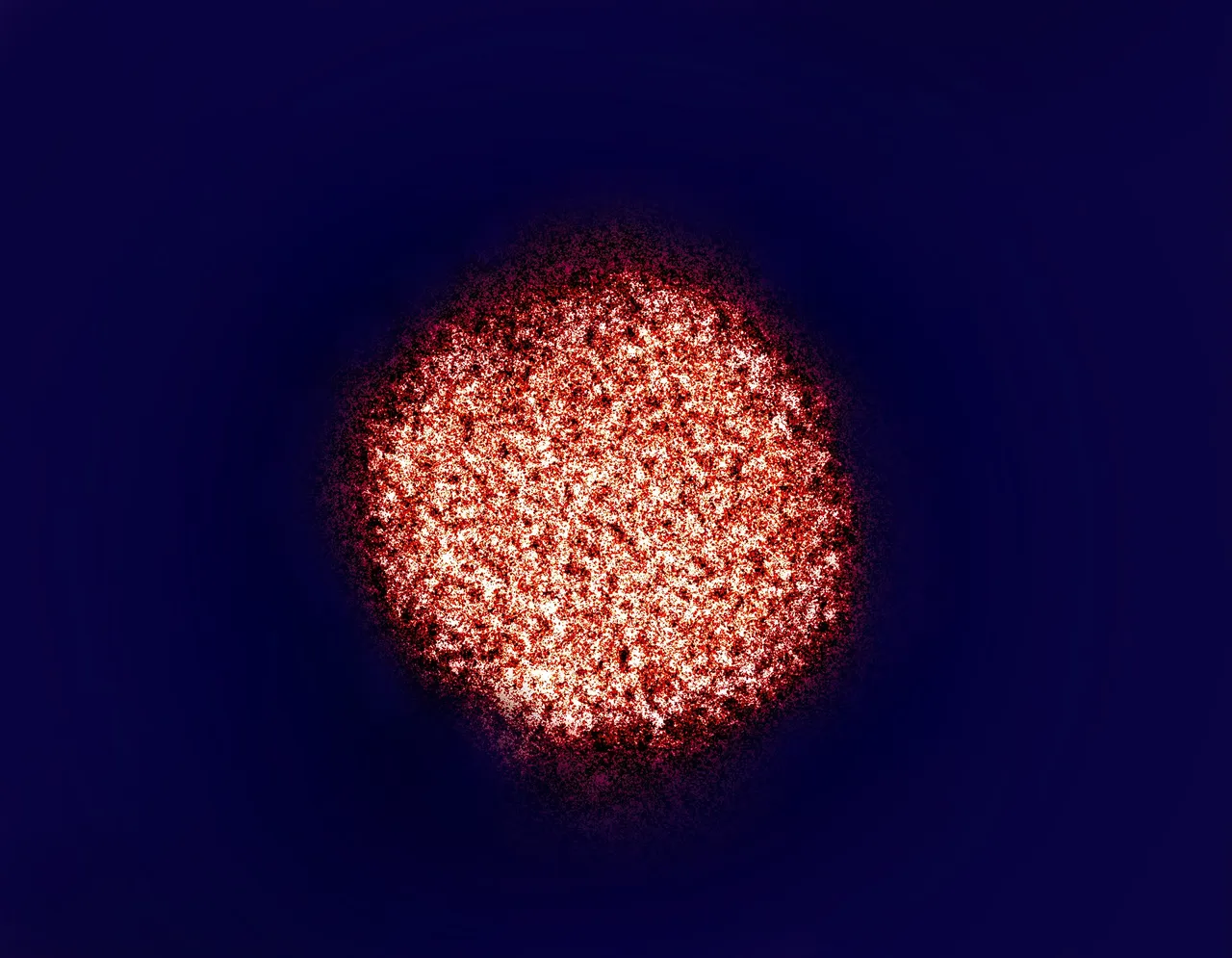 Rappresentazione del virus dell'epatite C