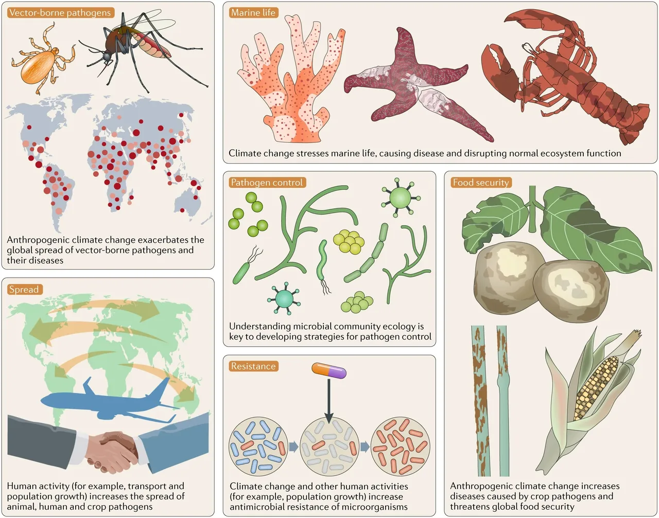 Immagine da Cavicchioli R et. al, Scientists’ warning to humanity: microorganisms and climate change. Nat Rev Microbiol 2019. Licenza: CC BY 4.0 DEED