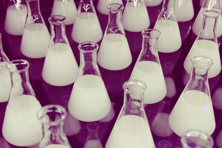 Beute