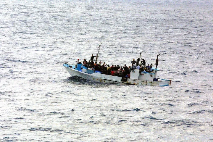 migranti