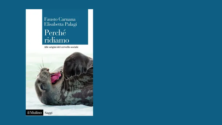 leone marino che si rotola
