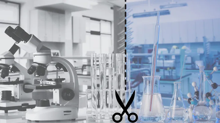 laboratorio tagliato in due