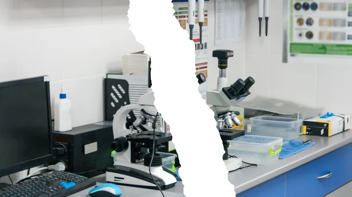 I problemi della piattaforma MEPA per la ricerca scientifica