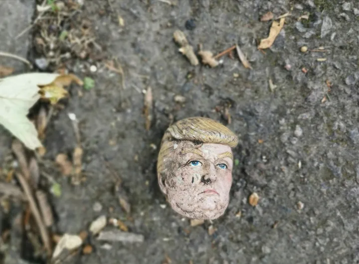 disegno di trump