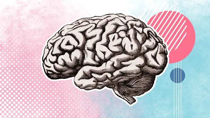 cervello con elementi grafici