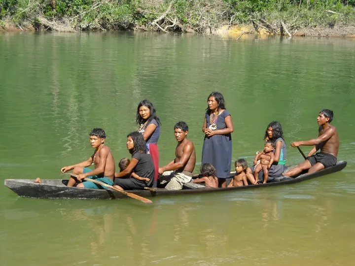 Piraha su una canoa