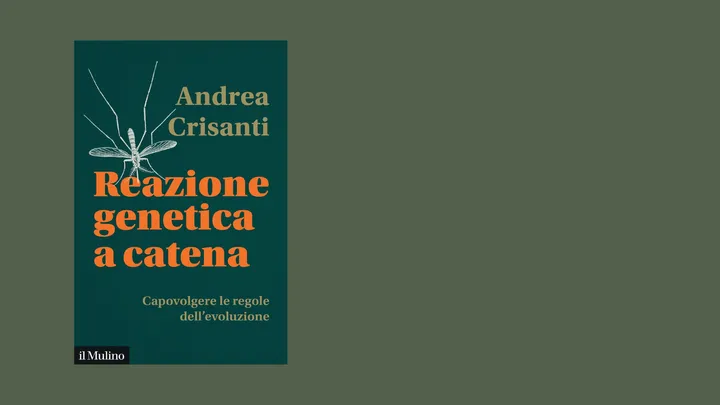 Copertina di Reazione genetica a catena