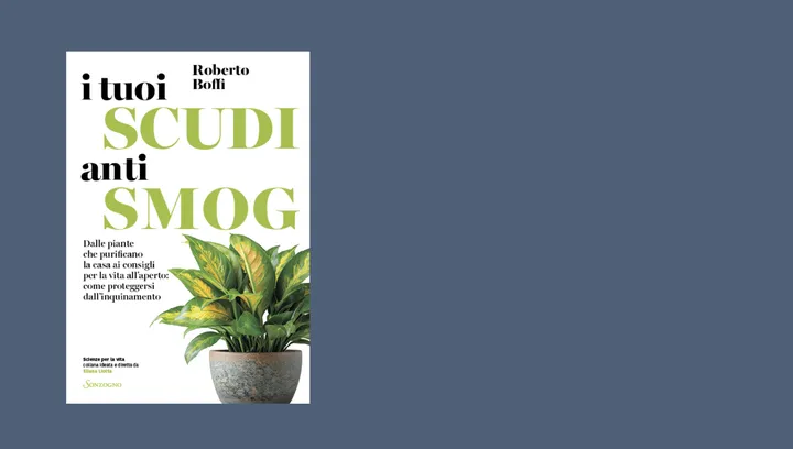 Copertina libro Boffi