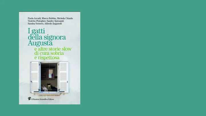 copertina del libro I gatti della signora Augusta