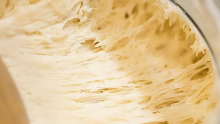 Particolare di impasto durante la fermentazione