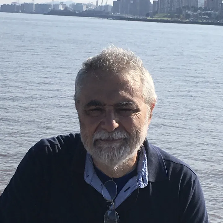 Angelo Vulpiani