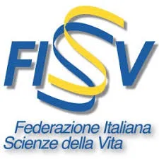 FISV