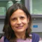 Maria Cristina Gauzzi