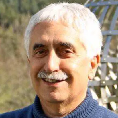 Nicola Bellomo