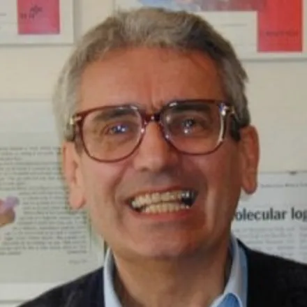 Vincenzo Balzani