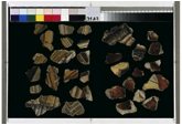 1 Frammenti dell’affresco contenuti nella cassa 31 vassoio A2 1 Frammenti dell’affresco contenuti nella cassa 31 vassoio A2