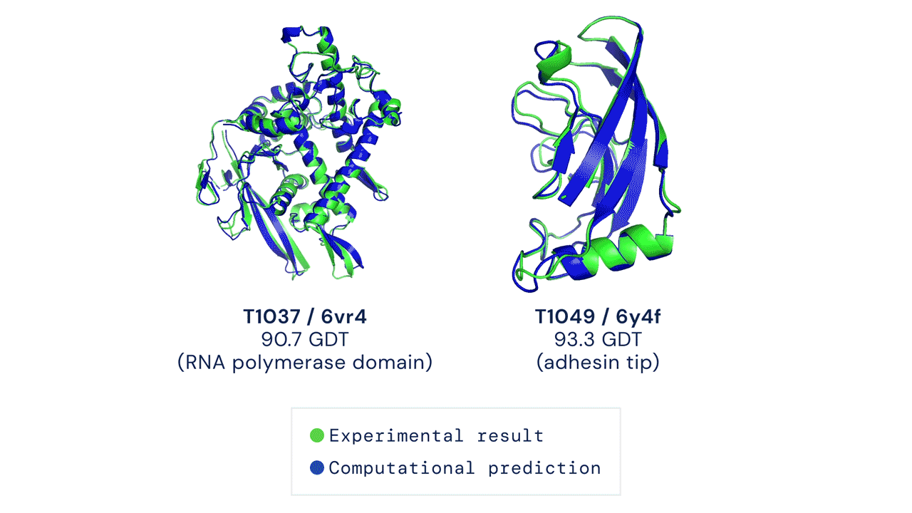Due esempi di proteine nel campione free modelling della competizione CASP14. Confronto tra la struttura prevista da AlphaFold2 (in blu) e quella sperimentale (in verde)
