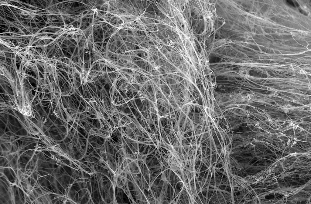 Nanotubi di carboni visti al microscopio a scansione elettronica. Credit: Christian Hoecker / Department of Engineering Cambridge / Flickr. Licenza: CC BY 2.0. 