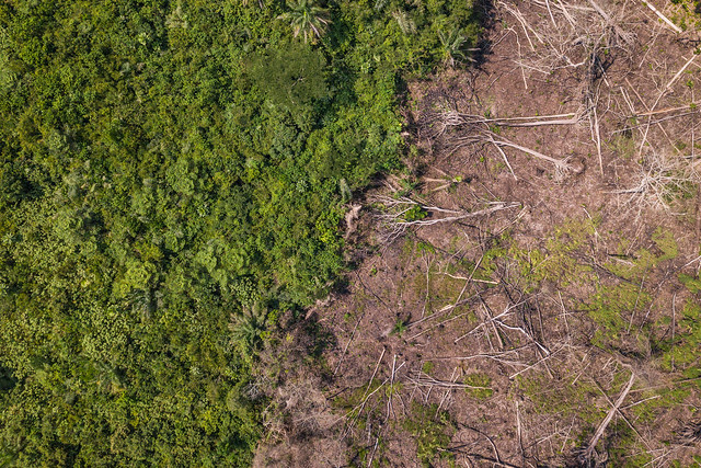 Deforestation near Lieki, DRC. Credit: Axel Fassio/CIFOR.