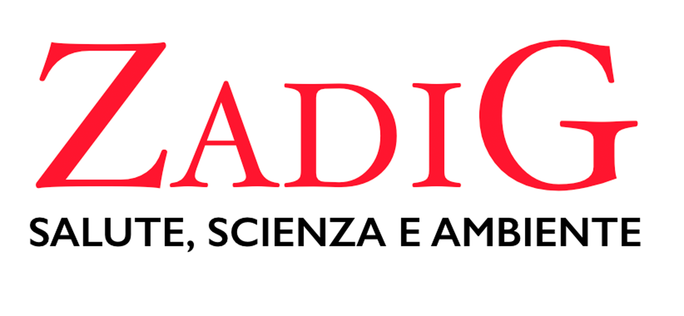 logo zadig